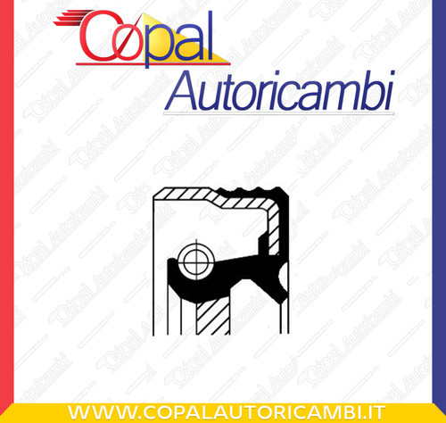 Paraolio albero camme - paraolio,,